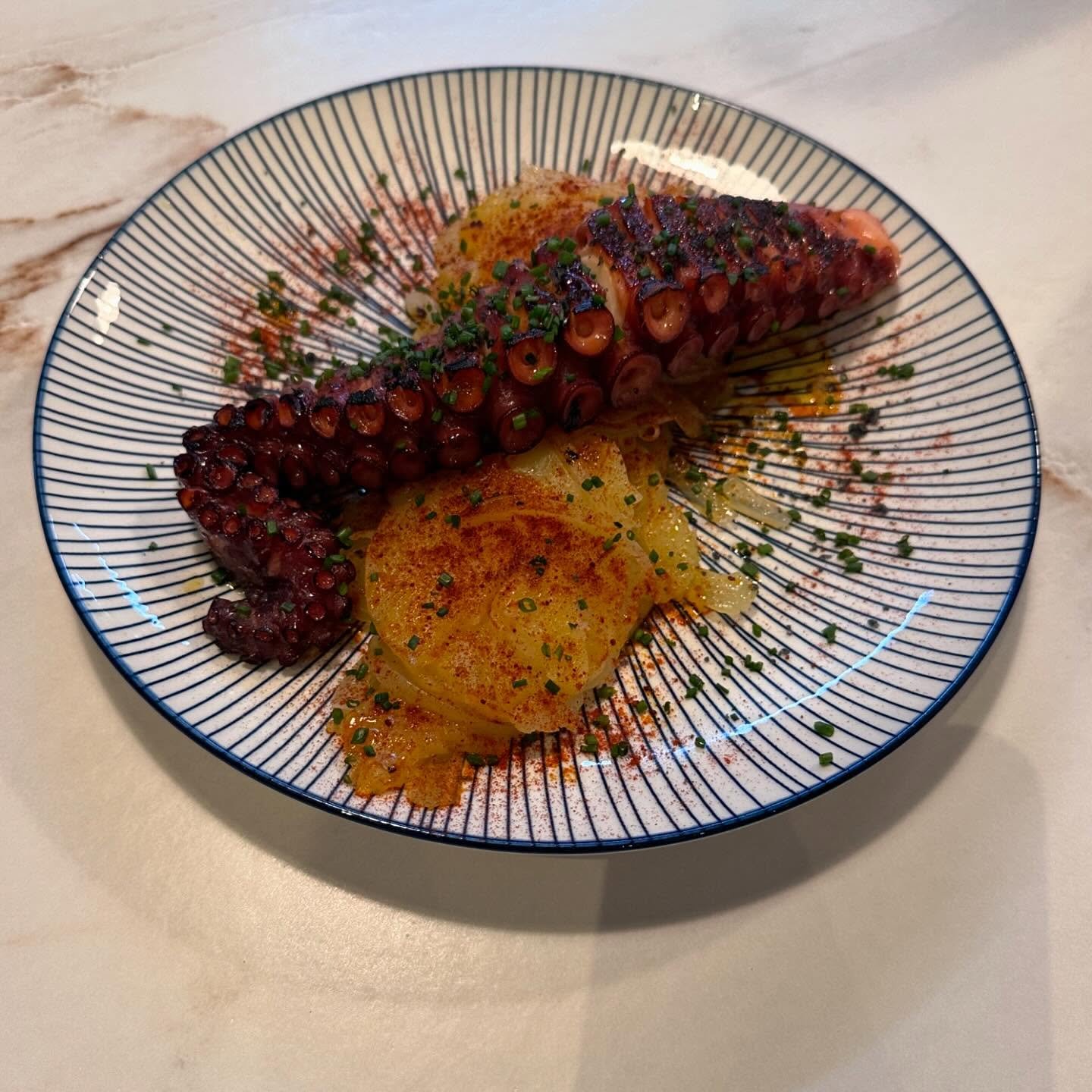 Plato de Insensato